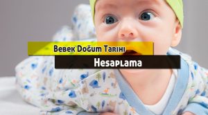 Çin Takvimi Ve Hesaplama Çeşitlerimiz