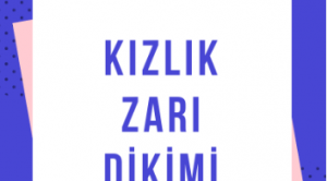 Kızlık Zarı Dikimi