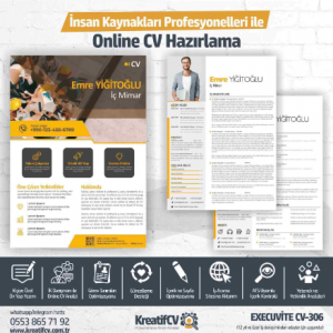 Profesyonel Mimar CV Örnekleri 
