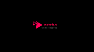 Prodüksiyon, Film Yapım ve Video Prodüksiyonun Önemi