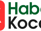Haber Kocaeli: Kentin Nabzını Tutan Yerel Haber Adresi