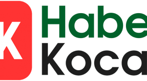 Haber Kocaeli: Kentin Nabzını Tutan Yerel Haber Adresi