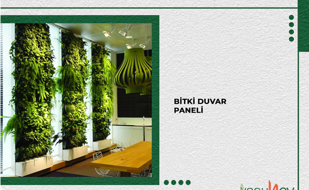 Bitki Duvar Nedir?